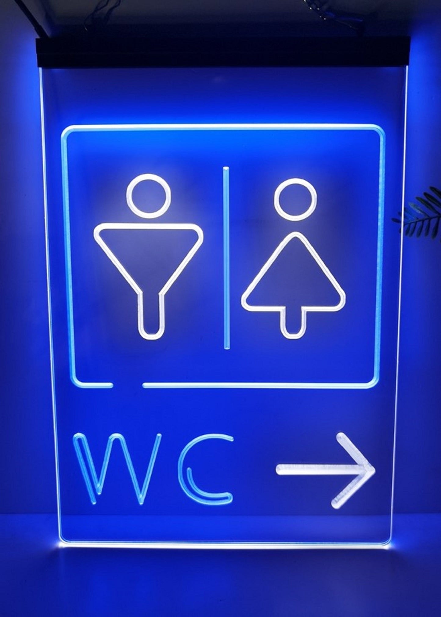 Neon Sign Dual Color WC This Way Bathroom Wall Hanging Decor