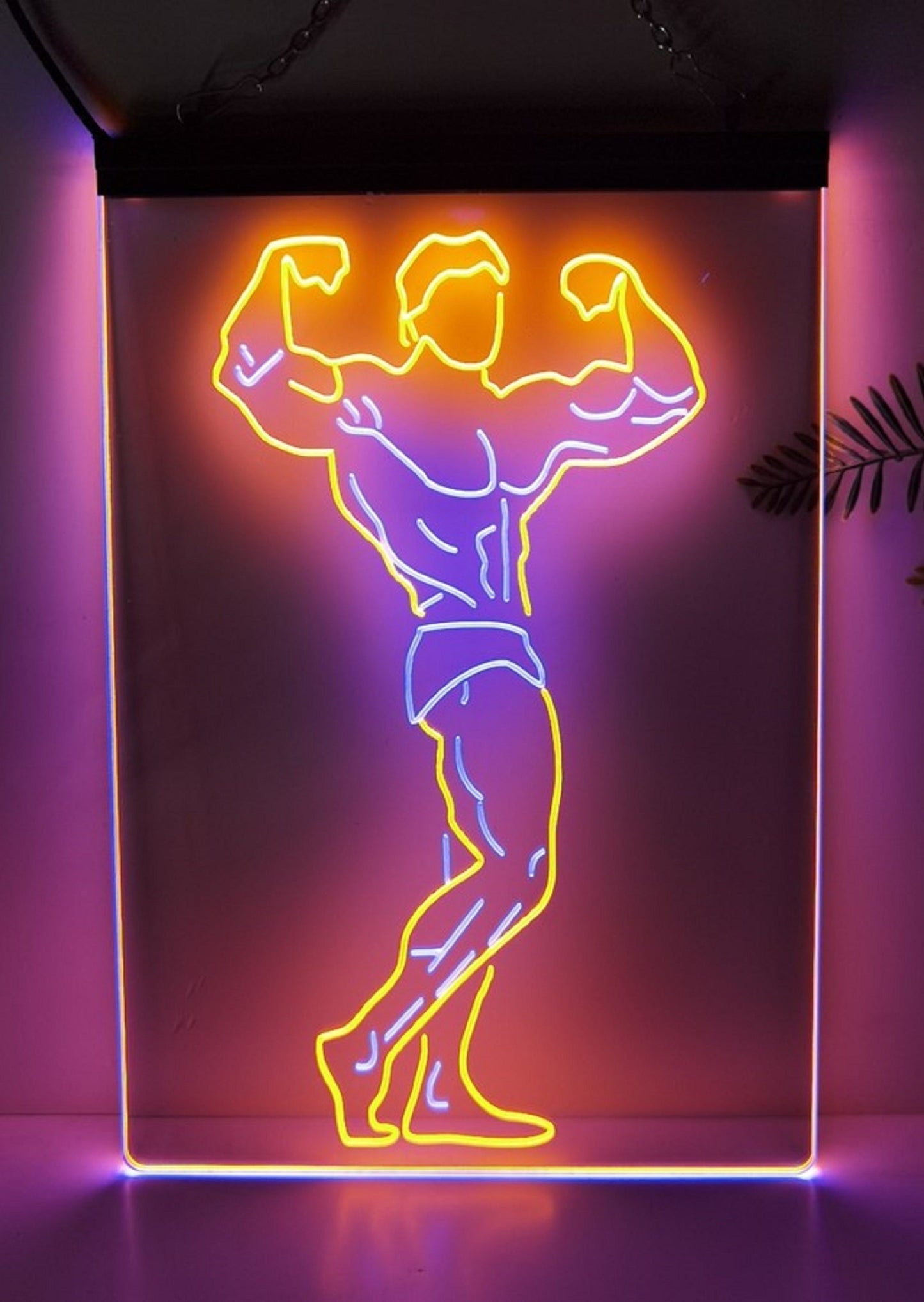 Neon Sign Dual Color Fitness Gym Club Wall Desktop Decor Free Shipping
